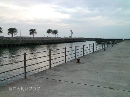 短時間サビキ釣り