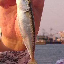 食品コンビナート付近