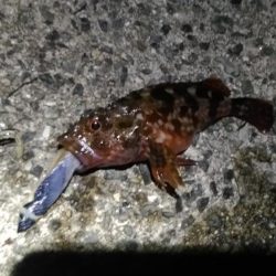 ハズレの日！？