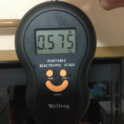 アオリイカまだまだ釣れてます。カサゴはサイズそこそこ