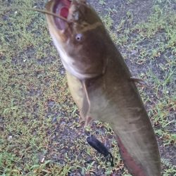 増水してももカバー奥にピッタリ