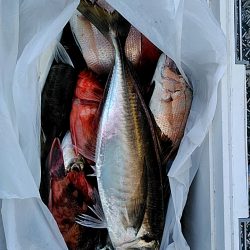 泉南の五目狙いです!!