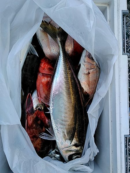 泉南の五目狙いです!!