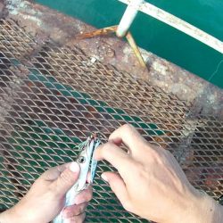 期待を込めて行ってみたものの