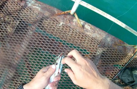 期待を込めて行ってみたものの