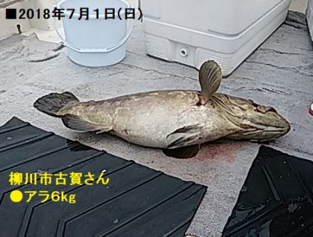 大物釣果速報！●光義丸：平戸市早福港