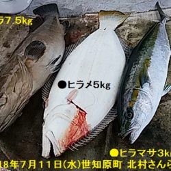 大物釣果速報！●光義丸：平戸市早福港