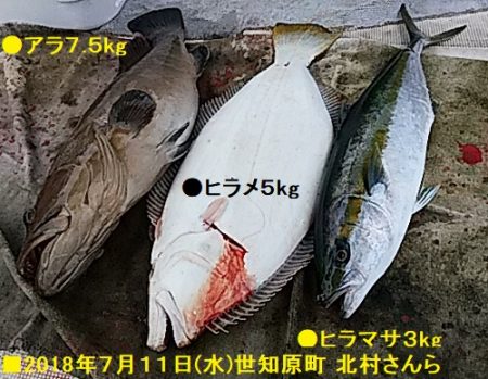 大物釣果速報！●光義丸：平戸市早福港