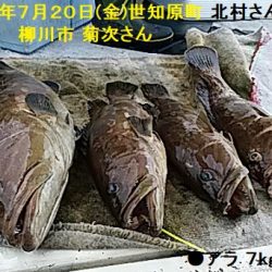 大物釣果速報！●光義丸：平戸市早福港