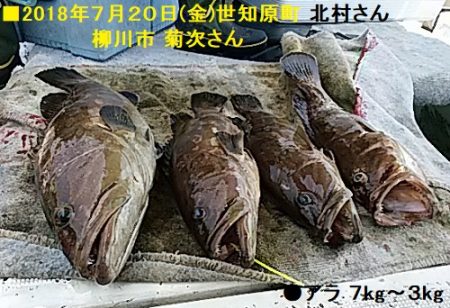 大物釣果速報！●光義丸：平戸市早福港