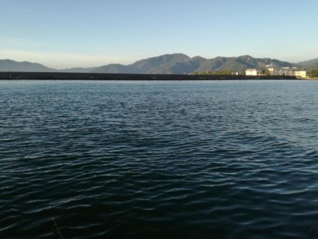 美味しいウグイ