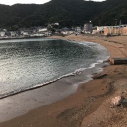 中紀でエギングとキッシング