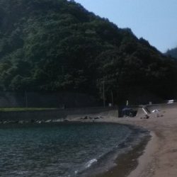 泊海水浴場で朝だけ投げ釣り