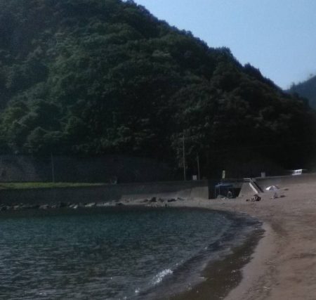 泊海水浴場で朝だけ投げ釣り