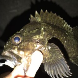 ヤオッチごめんね!