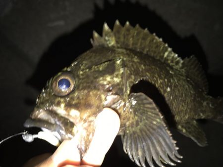 ヤオッチごめんね!