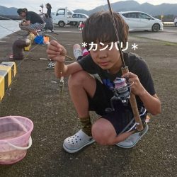 小浜港でサビキ＆キス釣り