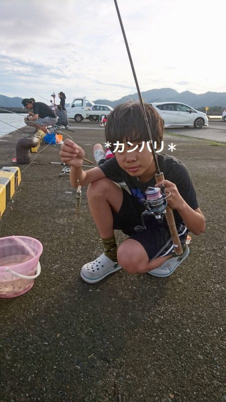 小浜港でサビキ＆キス釣り