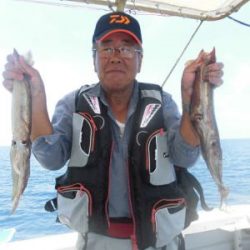 スルメイカ釣り