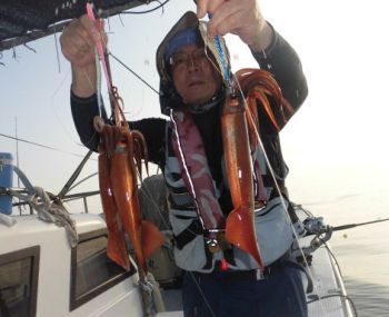 スルメイカ釣り
