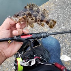 ライトワインド