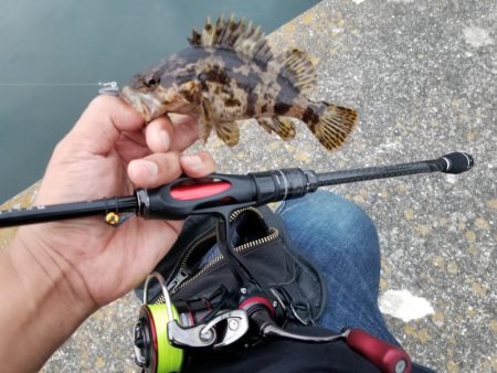 ライトワインド