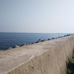 小型青物を求めて