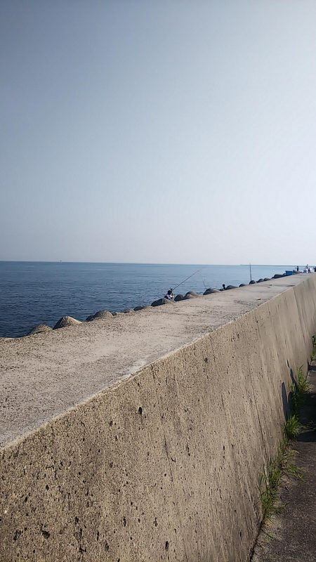 小型青物を求めて