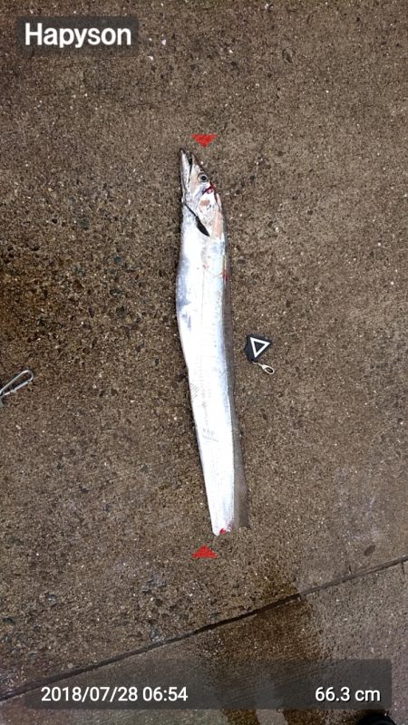 予想より大きいやつがキター