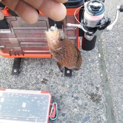 スーパーライトゲーム