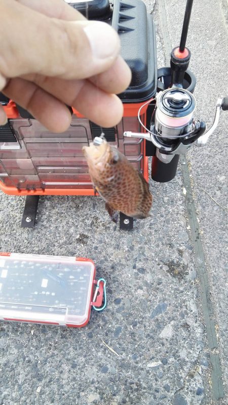 スーパーライトゲーム