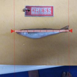 クロダイは簡単に釣れる