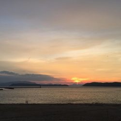 加太近辺で船五目釣り