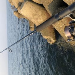 モンスター！！