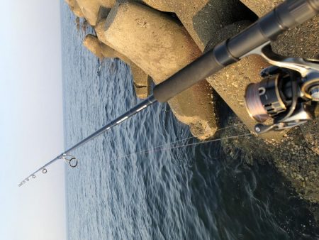 モンスター！！