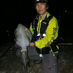 アオリ1640グラム 雄