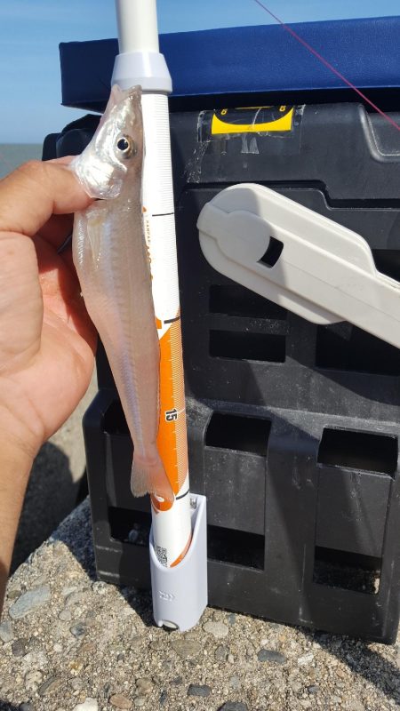 日本鋼管キス釣り