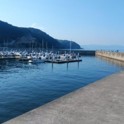 炎天下のキス釣行