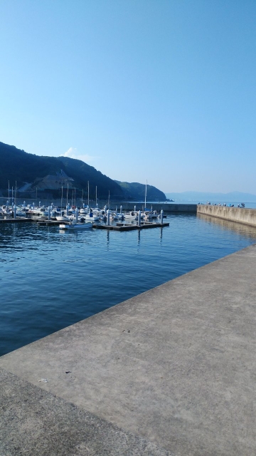 炎天下のキス釣行