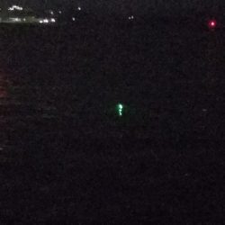 太刀魚釣り　～一回きりの当たり逃す～