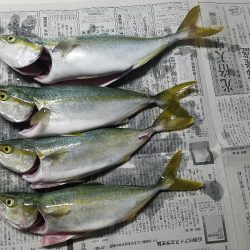 ツバスゲット♪