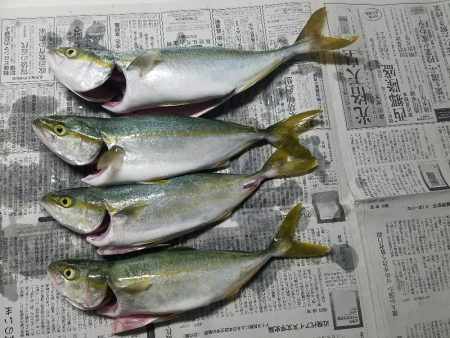 ツバスゲット♪