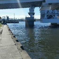 舞洲アジングNo2