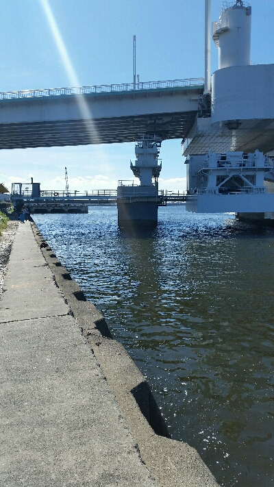 舞洲アジングNo2