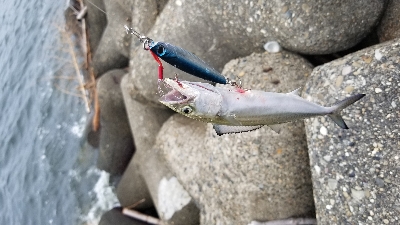 台風前のショアジギ