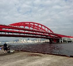 暑い❗とにかく暑い❗