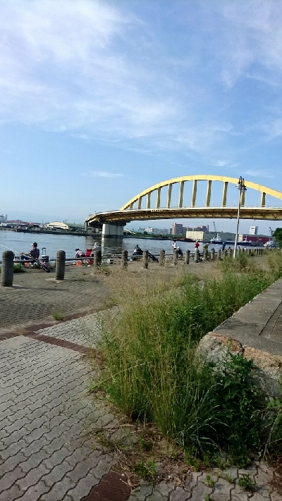 夏は夜釣りに限りますね