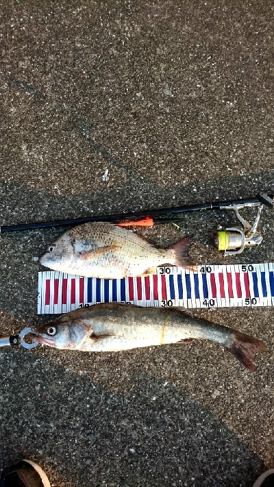 夜釣り❗暑いが日焼けしないだけましか？