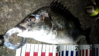 台風前に釣りはどうですか?