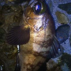 沖堤防でストレス発散ww